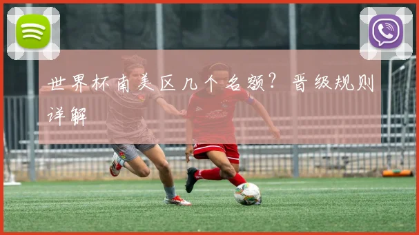 世界杯南美区几个名额？晋级规则详解
