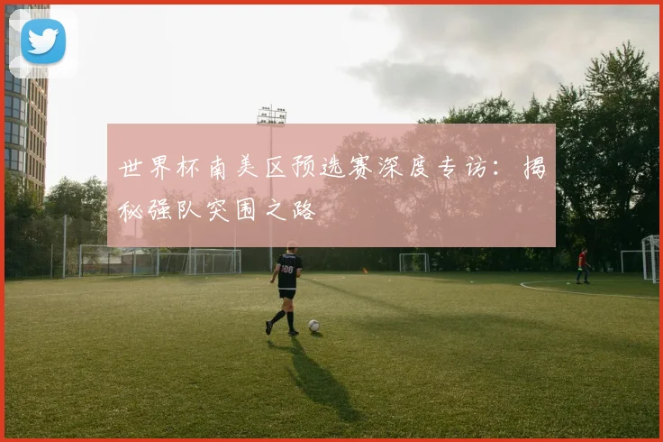 世界杯南美区预选赛深度专访：揭秘强队突围之路