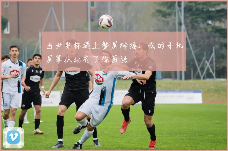 当世界杯遇上整屏转播：我的手机屏幕从此有了绿茵场