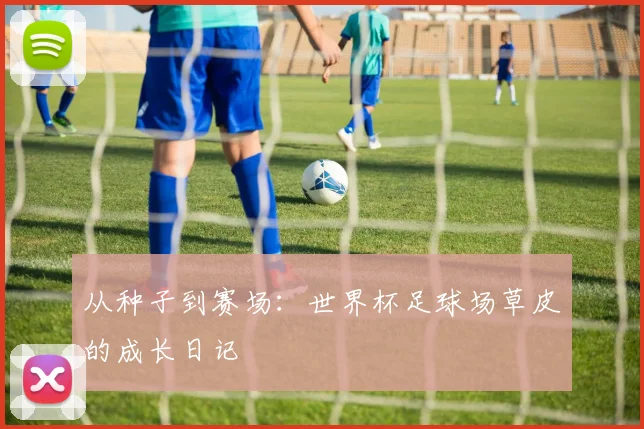 从种子到赛场：世界杯足球场草皮的成长日记