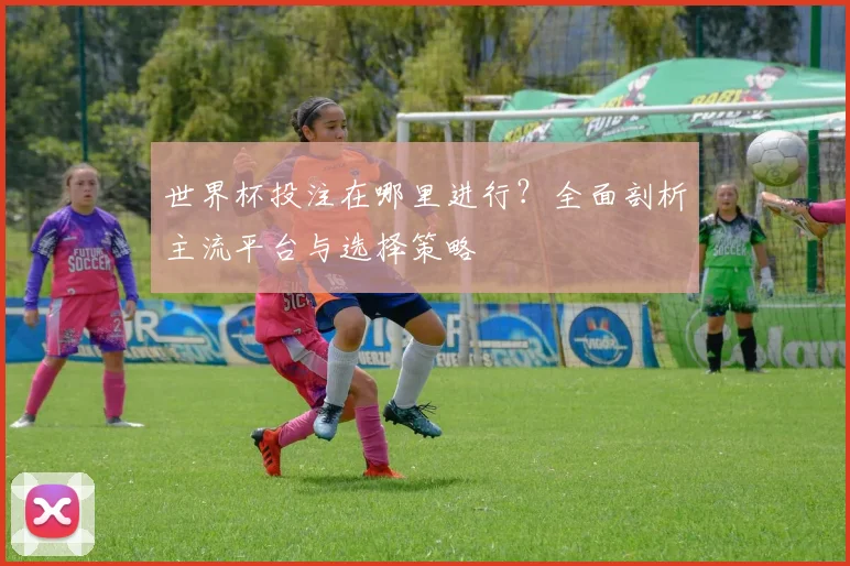 世界杯投注在哪里进行？全面剖析主流平台与选择策略
