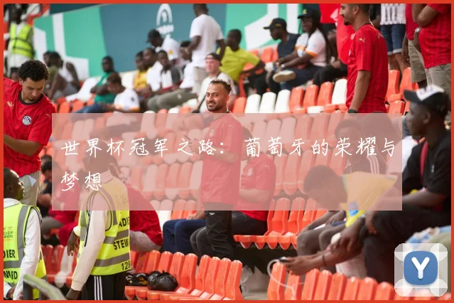 世界杯冠军之路：葡萄牙的荣耀与梦想