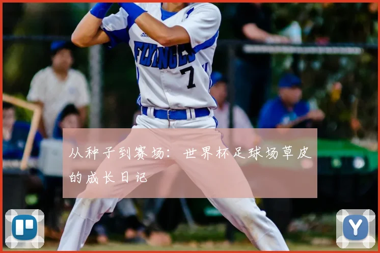 从种子到赛场：世界杯足球场草皮的成长日记