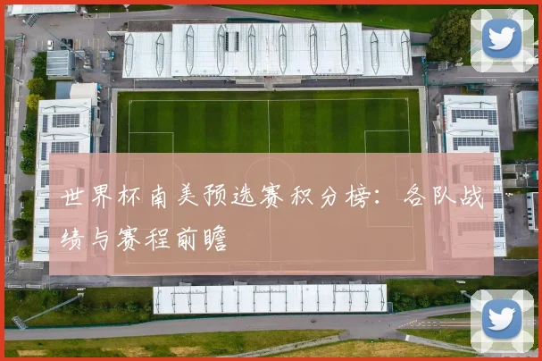 世界杯南美预选赛积分榜：各队战绩与赛程前瞻