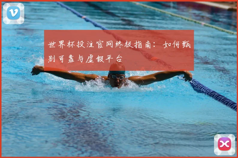 世界杯投注官网终极指南：如何甄别可靠与虚假平台