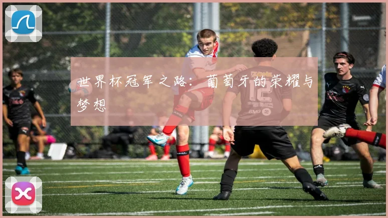 世界杯冠军之路：葡萄牙的荣耀与梦想