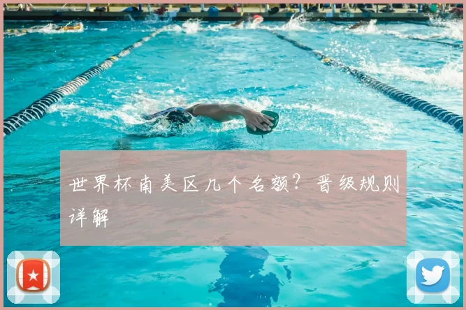 世界杯南美区几个名额？晋级规则详解