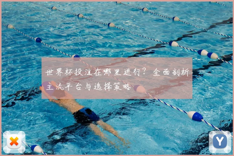 世界杯投注在哪里进行？全面剖析主流平台与选择策略