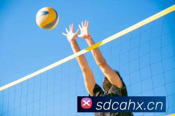 多媒体互动体验